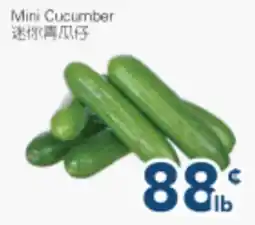 Oceans Fresh Food Market Mini Cucumber offer
