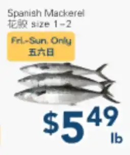 Oceans Fresh Food Market Spanish Mackerel offer