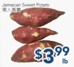 Oceans Fresh Food Market Jamaican Sweet Potato offer