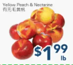 Oceans Fresh Food Market Yellow Peach & Nectarine offer