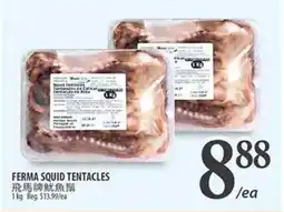 Al Premium Food Mart FERMA SQUID TENTACLES offer