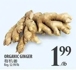 Al Premium Food Mart ORGANIC GINGER offer
