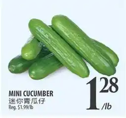 Al Premium Food Mart MINI CUCUMBER offer