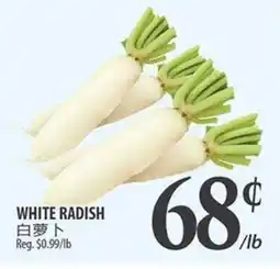 Al Premium Food Mart WHITE RADISH offer