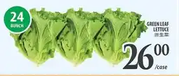 Al Premium Food Mart GREEN LEAF LETTUCE offer