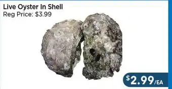 Blue Sky Supermarket Live Oyster In Shell offer