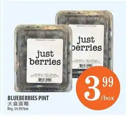 Al Premium Food Mart BLUEBERRIES PINT offer