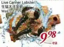 Tone Tai Supermarket Live Canner Lobster offer