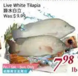 Tone Tai Supermarket Live White Tilapia offer