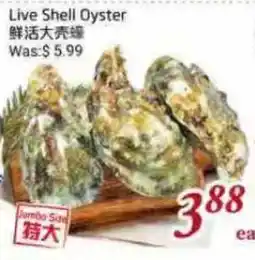 Tone Tai Supermarket Live Shell Oyster offer
