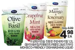 H-Mart MGH ECO-FRIENDLY DISHWASHING LIQUID offer