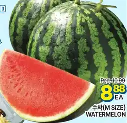 H-Mart WATERMELON offer