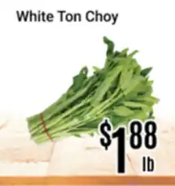 Nations Fresh Foods White Ton Choy offer