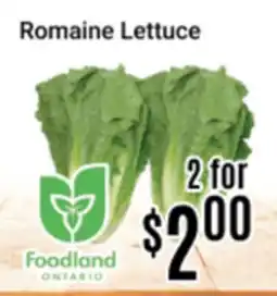 Nations Fresh Foods Romaine Lettuce offer