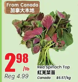 Terra Foodmart Red Spinach Top offer