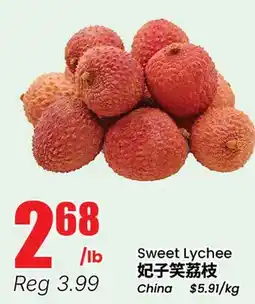 Terra Foodmart Sweet Lychee offer