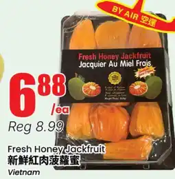 Terra Foodmart Fresh Honey Jackfruit offer