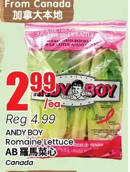 Terra Foodmart ANDY BOY Romaine Lettuce offer