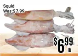 Nations Fresh Foods Squid offer