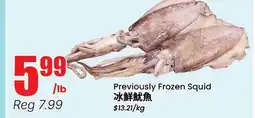 Terra Foodmart Previously Frozen Squid offer