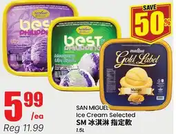 Terra Foodmart SAN MIGUEL Ice Cream Selected offer
