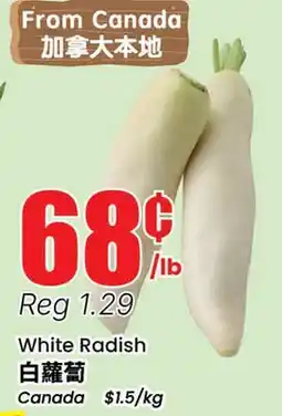 Terra Foodmart White Radish offer