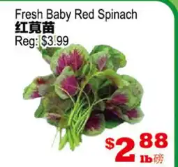 Yuan Ming Supermarket Fresh Baby Red Spinach offer