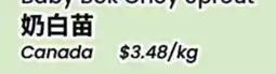 Terra Foodmart Baby Bok Choy spread offer