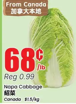 Terra Foodmart Napa Cabbage offer