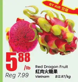 Terra Foodmart Red Dragon Fruit offer