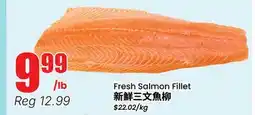 Terra Foodmart Fresh Salmon Fillet offer