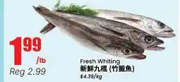 Terra Foodmart Fresh Whiting offer