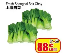 Yuan Ming Supermarket Fresh Shanghai Bok Choy offer