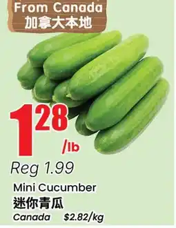 Terra Foodmart Mini Cucumber offer