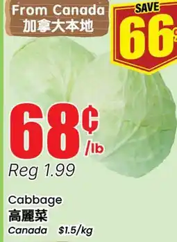 Terra Foodmart Cabbage offer