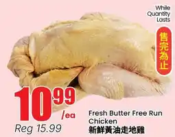 Terra Foodmart Fresh Butter Free Run Chicken offer