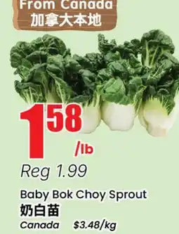 Terra Foodmart Baby Bok Choy Sprout offer