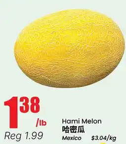 Terra Foodmart Hami Melon offer