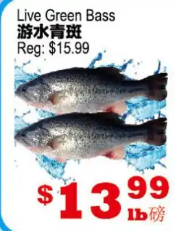 Yuan Ming Supermarket Live Green Bass offer