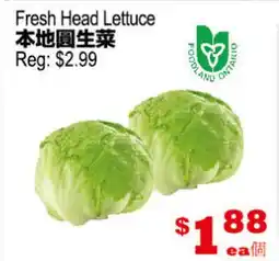 Yuan Ming Supermarket Fresh Head Lettuce offer
