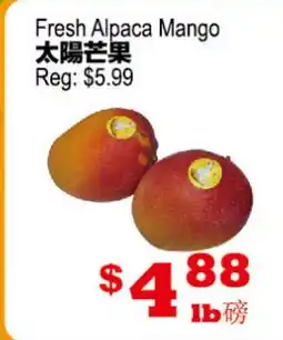 Yuan Ming Supermarket Fresh Alpaca Mango offer