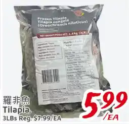 United Supermarket Tilapia offer