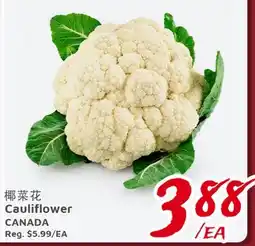 United Supermarket Cauliflower offer