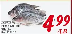 United Supermarket Fresh Chilled Tilapia offer