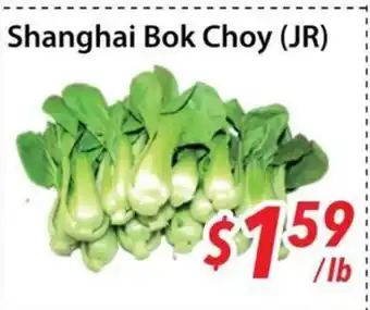 Bestco Food Mart Shanghai Bok Choy (JR) offer