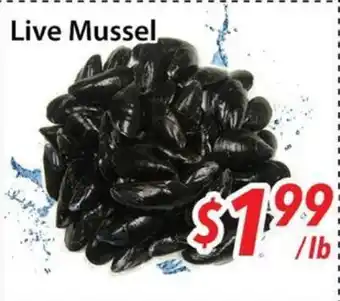 Bestco Food Mart Live Mussel offer