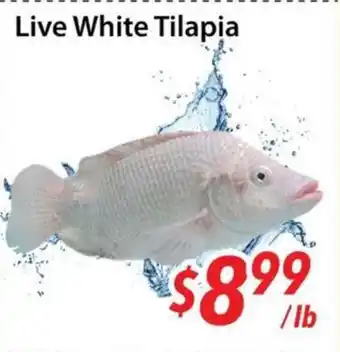 Bestco Food Mart Live White Tilapia offer