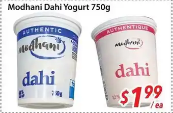 Bestco Food Mart Modhani Dahi Yogurt offer