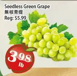 Food Depot Supermarket Seedless Green Grape offer