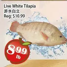 Food Depot Supermarket Live White Tilapia offer